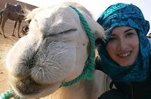 4 Days From Fez To Marrakech Desert Tour