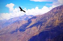 TOUR COLCA CANYON 2D - 1N (Shared Service)