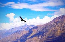 Tour Colca Canyon 2d -1n From Arequipa, Ending In Puno