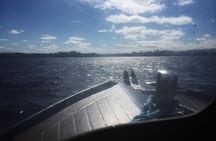 Central Scotland Driving Tour - Stirlingshire (Private)
