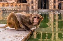 2 Days Jaipur City Tour from Agra
