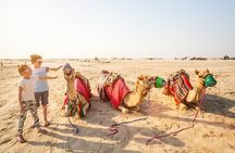 Doha Desert Safari: Dunebashing, Camel, Sandboarding & Inland Sea