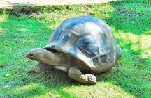 Mauritius South Tour Including Blue Bay Glass Bottom Boat & Snorkelling