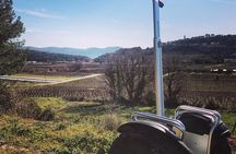 Vineyard visit in Gyropode, visit of Cave & Tasting Wines of Bandol