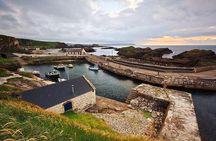 Private Giants Causeway Express Tour from Belfast