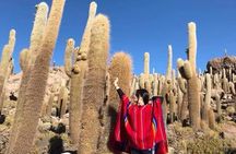 4-Day Bolivia Private Tour with English Guide from La Paz Bolivia