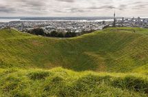 Auckland City Highlights Small Group Tour 