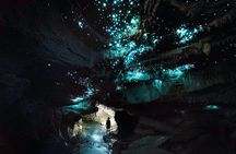 Waitomo - Eco Adventure Glowworm Cave Tour - Off the Beaten Track