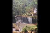 Explore Montego Bay Jamaica to Country Side Appleton & Y S Falls