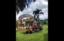 Explore Montego Bay Jamaica to Pelican Bar & Appleton Rum Factory