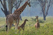Lake Nakuru National Park - Day Trip (With Park Fees)