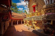 1 Day Khao Sok Jungle Safari and 2 Days Cheow Lan Lake Explorer from Krabi