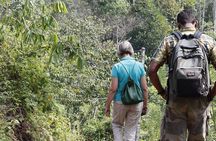 All Inclusive - Private Overnight Rain forest adventure in Sinharaja