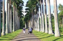 Private Kandy Tour by Air-Conditioned Car: Do it All in One Day
