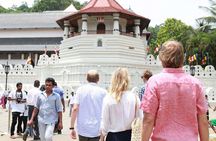 Private Kandy Tour by Air-Conditioned Car: Do it All in One Day