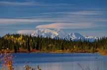 Denali Self-Guided Jeep Adventure