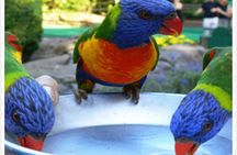  Bird Sanctuary and animal farm Day Tour 
