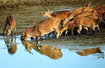 Sri Lanka tours package in 9 Days (Amazing Sri Lanka)