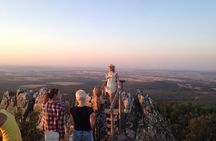 Ribera del Duero Winery Guided Tour and Wine Tasting from Madrid
