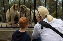 Gibraltar Rock Guided Tour