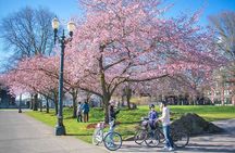 Essential Portland Oregon Bike and E-Bike Tour!