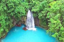 Oslob Whale Shark and Kawasan Falls Day Tour