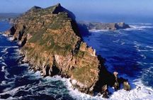 Cape Point & Penguins full day tour