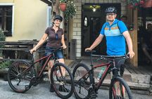 Private Biking Tour in Bohinj Valley