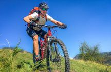 Private Biking Tour in Bohinj Valley