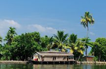 God's Own Country - KERALA (8 Days private trip)