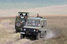 4-Days Private Midrange, Tarangire Ngorongoro, Manyara & Materuni