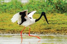 5 Days - Private Wildlife Photography Tour with Unique Accommodation options