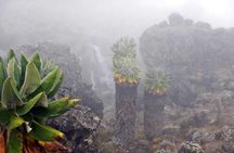 7 Days Climbing Mountain Kilimanjaro