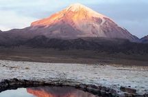 Private Sajama National Park Expedition | 2 Days from La Paz