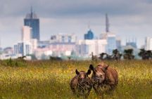 Early Nairobi Park Giraffe Centre and Optional Elephant Orphanage