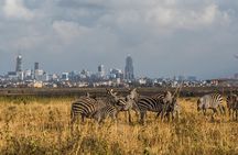Early Nairobi Park Giraffe Centre and Optional Elephant Orphanage
