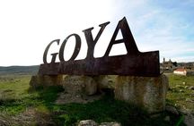 Full-Day Wine Excursion and Visit Goya Birthplace