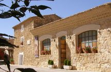 Full-Day Wine Excursion and Visit Goya Birthplace