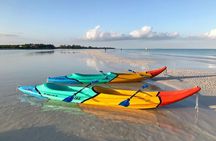 Kayaking Tour Through the Mangroves in Isla Holbox