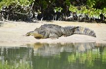 Kayaking Tour Through the Mangroves in Isla Holbox