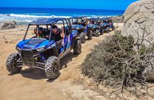 Quadruple or Double Razor Tour on Beach and Desert from Cabo San Lucas