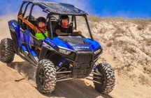 Quadruple or Double Razor Tour on Beach and Desert from Cabo San Lucas