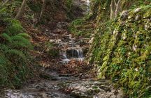 Hiking Experience - Amalfi Natural Reserve Valle delle Ferriere