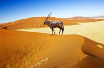 7 Days-Desert adventure, Swakopmund & Etosha Lodging Tour