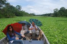 Amazon Jungle 4-Day Adventure from Iquitos