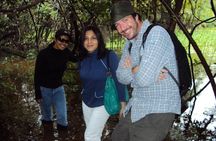 3-Day Amazon Jungle Adventure from Iquitos
