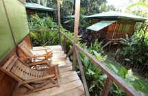3-Day Amazon from Puerto Maldonado with Eco Lodge Accommodation