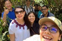Walk Antigua Like a Local