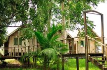 3-Day Manaus Amazon Jungle Adventure