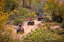 Guided Arizona Desert Tour by ATV
